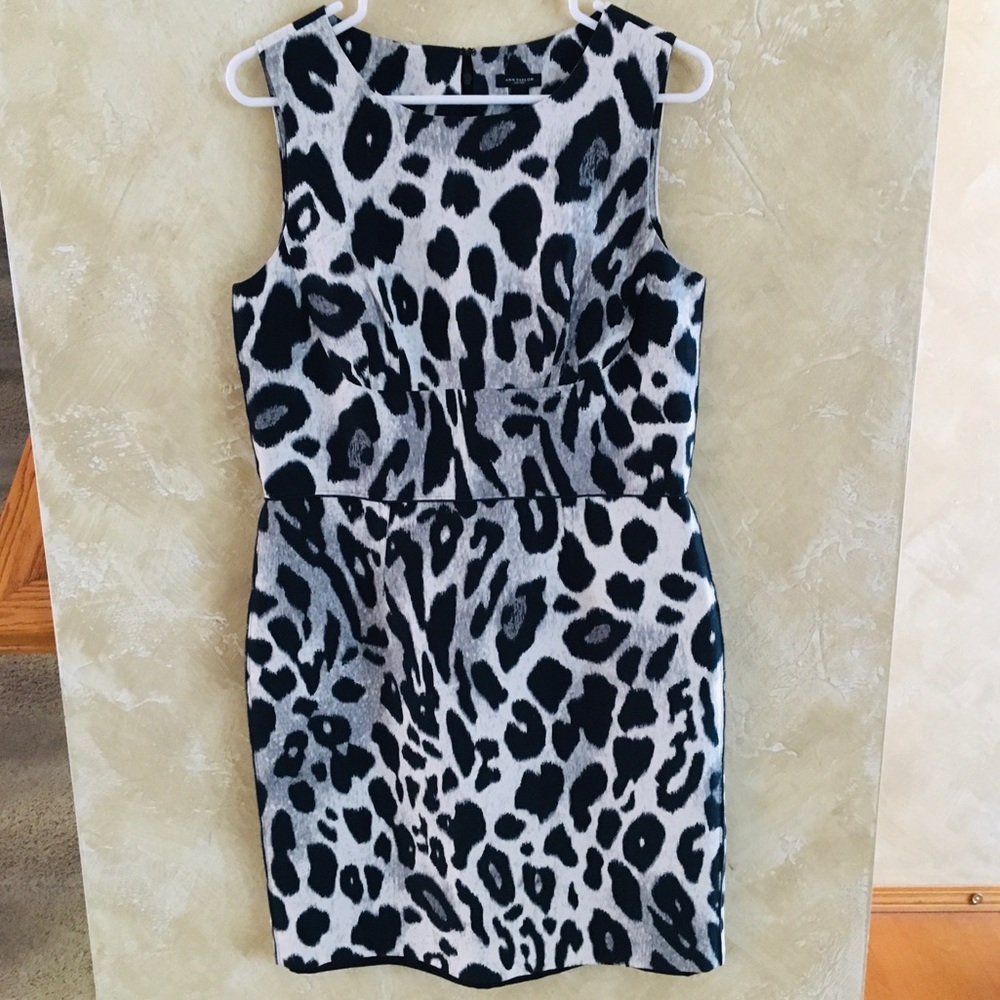 Ann Taylor Animal Print Dress